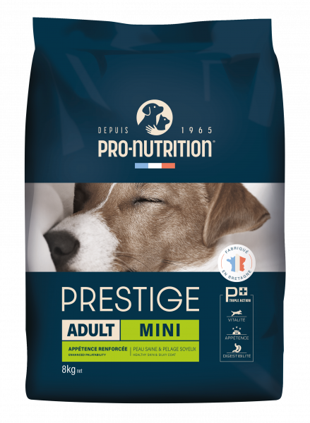 3D Perro Adulto Mini 8kg